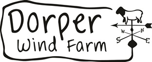 Dorper WF - Updated Logo