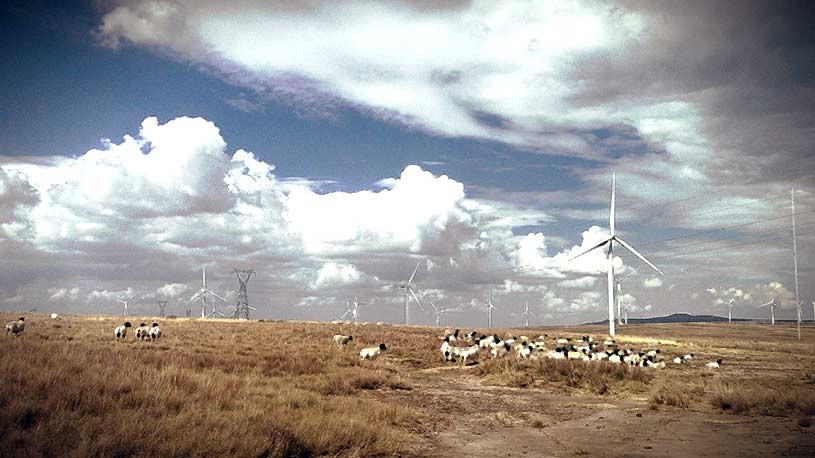 dorper-wind-farm-2